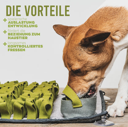 BOBBYS WELT® Schnüffelteppich [Testsieger] für Hunde & Katzen + GRATIS E-Book - Interaktives bissfestes Intelligenzspielzeug zur Förderung und Auslastung | Grün