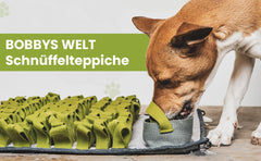 BOBBYS WELT® Schnüffelteppich [Testsieger] für Hunde & Katzen + GRATIS E-Book - Interaktives bissfestes Intelligenzspielzeug zur Förderung und Auslastung